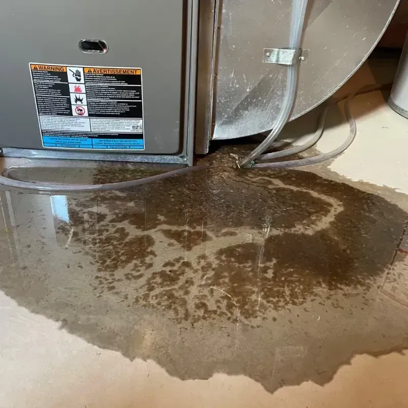 Appliance Leak Cleanup in Rosedale, NY